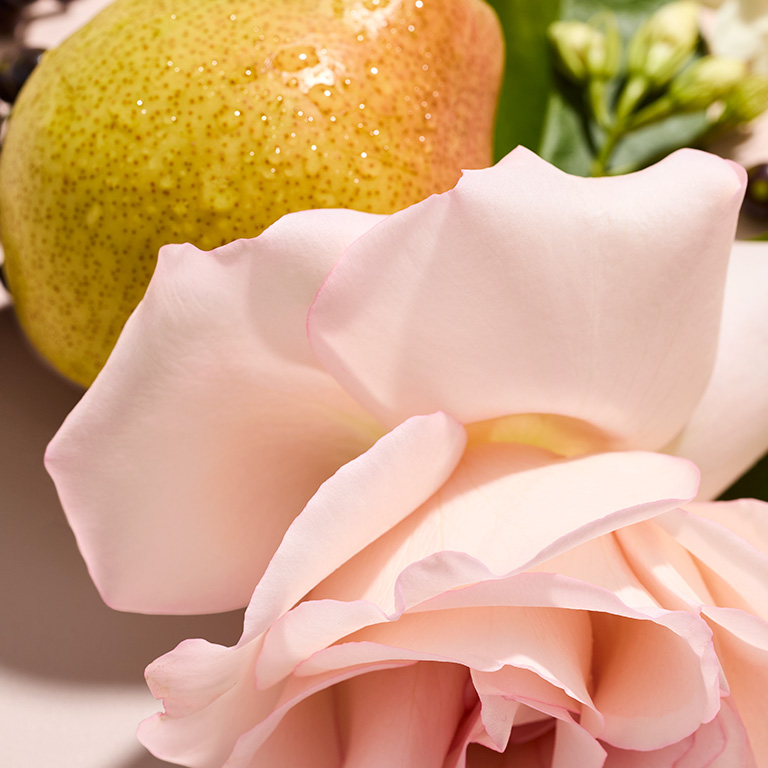 Pear, rose, and jasmine plants